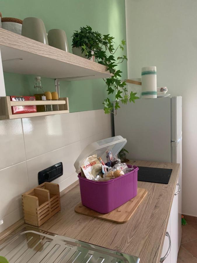 Appartamento Salvia In Centro Ascea Dış mekan fotoğraf
